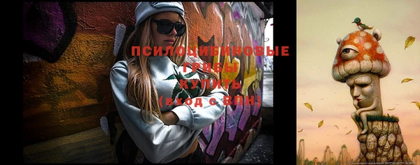 скорость Алексин