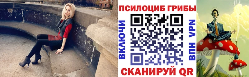 Псилоцибиновые грибы мицелий  где найти   Ленинск 