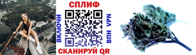 Канабис гибрид  где найти наркотики  Ленинск 